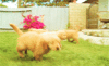 image.gif