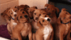 image(2).gif