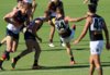 2018 Magpies v Crows Trial Game Pics 031.JPG