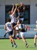 2018 Magpies v Crows Trial Game Pics 033.JPG