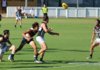 2018 Magpies v Crows Trial Game Pics 035.JPG