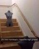 FB_IMG_1522240268645.jpg