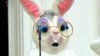 AE2CB6B2-EF3F-451E-8AFE-9A8B5DBB2F11.jpeg