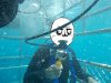 in_shark_cage.jpg