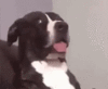 01E9C35E-7ECB-450E-B4A2-C8E59B2302E5.gif