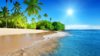 beaches-palm-sun-trees-ocean-tropical-wave-download-desktop-wallpaper-of-nature-1366x768 (1).jpg