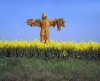 scarecrow.jpg