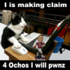 riggylolcat2.png