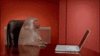 tenor (4).gif