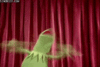 E7191321-F275-408A-B4B0-82DF780D86F9.gif