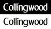 Collingwood - Emirates.png