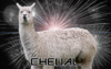 cheval.png