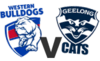 Bulldogs-vs-Geelong.png