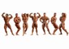Body builders.jpg
