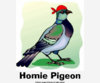 [w.zazzle.com] homie_pigeon.jpg