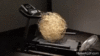 tumblr_ooo6idAyKP1tpri36o1_400.gif