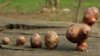 potato_tubers_evolution_number_crop_5853_1920x1080.jpg