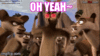 CEDB8287-1B76-4542-94CB-90D03B04C29D.gif