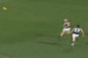 Crows[20180804] Port Q4 16'35.gif