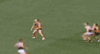 Crows[20180804] Port Q4 17'38.gif