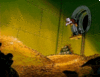 unnamed%20(15).gif