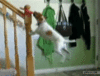 1340215198_dog_hangs_by_frisbee.gif