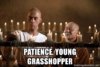 patience-young-grasshopper.jpg