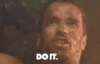 [giphy.com] arnie - do it [e].gif
