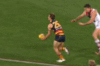 Crows [20170609] Saints Q2.17'44.gif