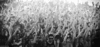 E87B2B1E-28C3-4A8F-B6F0-03A46BA237B2.gif