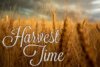 harvest time.jpg