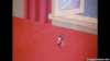 Fly swat.gif