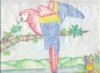 thumbnail_Bird`.jpg