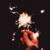 IMG_8222.GIF