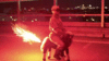 IMG_8224.GIF