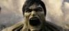 CoolDrearyGermanshorthairedpointer-small.gif