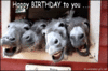IMG_1166.GIF