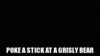 [dumbway2sdie.wikia.com] Poke_A_Stick_At_A_Grisly_Bear [e].gif