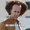 hair is bird.gif