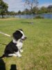20181013_105636.jpg