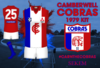 Camberwell-Cobras-Entry.png