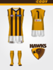 hawthorn2019whiteshorts.png