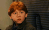 ds.gif