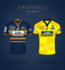 Brumbies.png