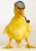 animated-rubber-duck-image-0103.gif