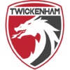 Twickenham Dragons Logo.png