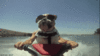 IMG_8614.GIF