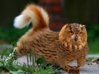 Meowl - Fluffy Red Tail.jpg