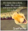 [twitter.com] 1543751876978989 [e].jpg