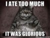 [cdn.meme.am] fat-catshxguxy-i-ate-too-much-it-was-glorious.jpg